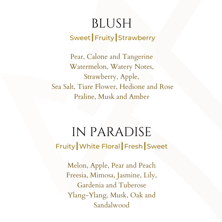 The Ultimate Discovery Set for Women