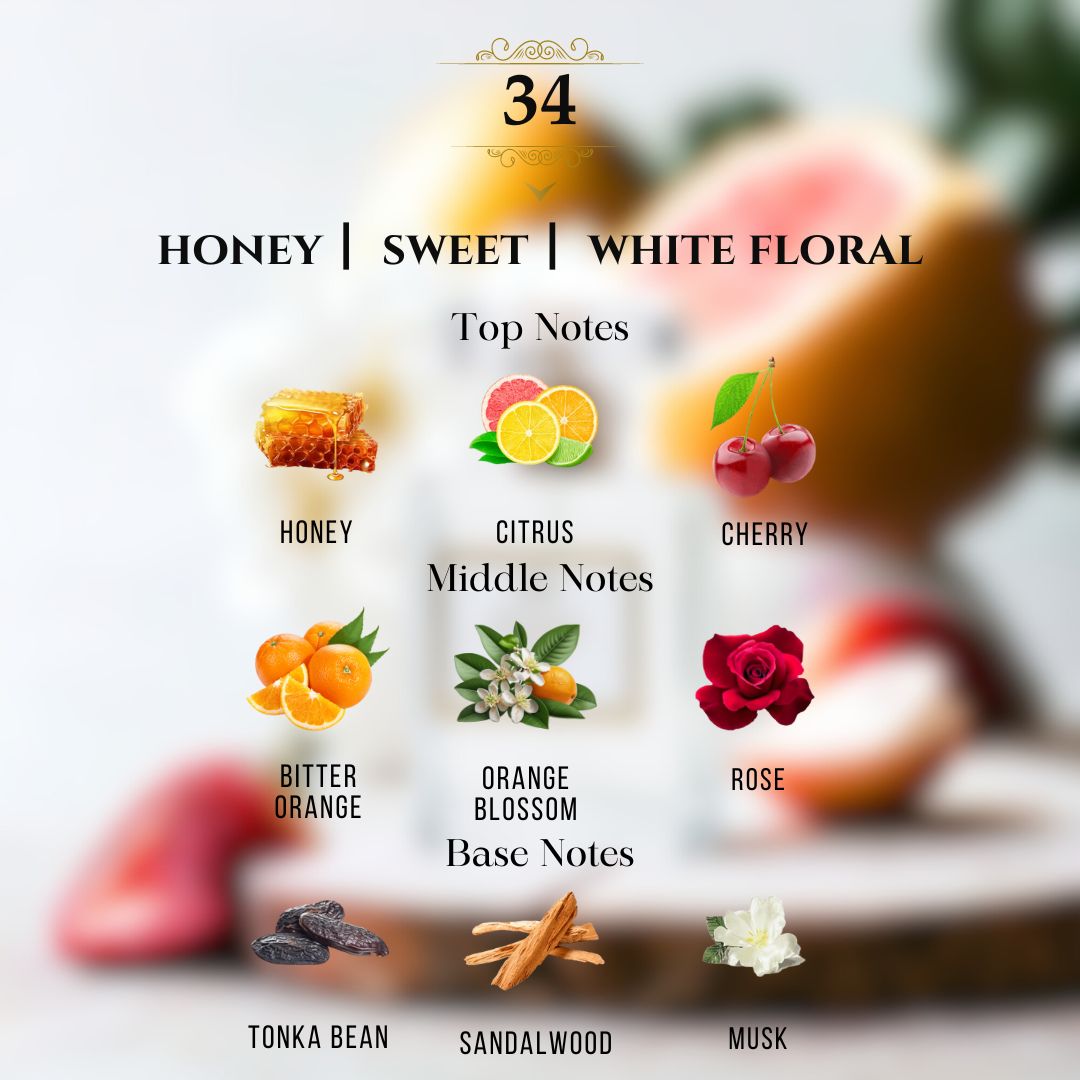 Alchemist 5ml Fragrance Collection