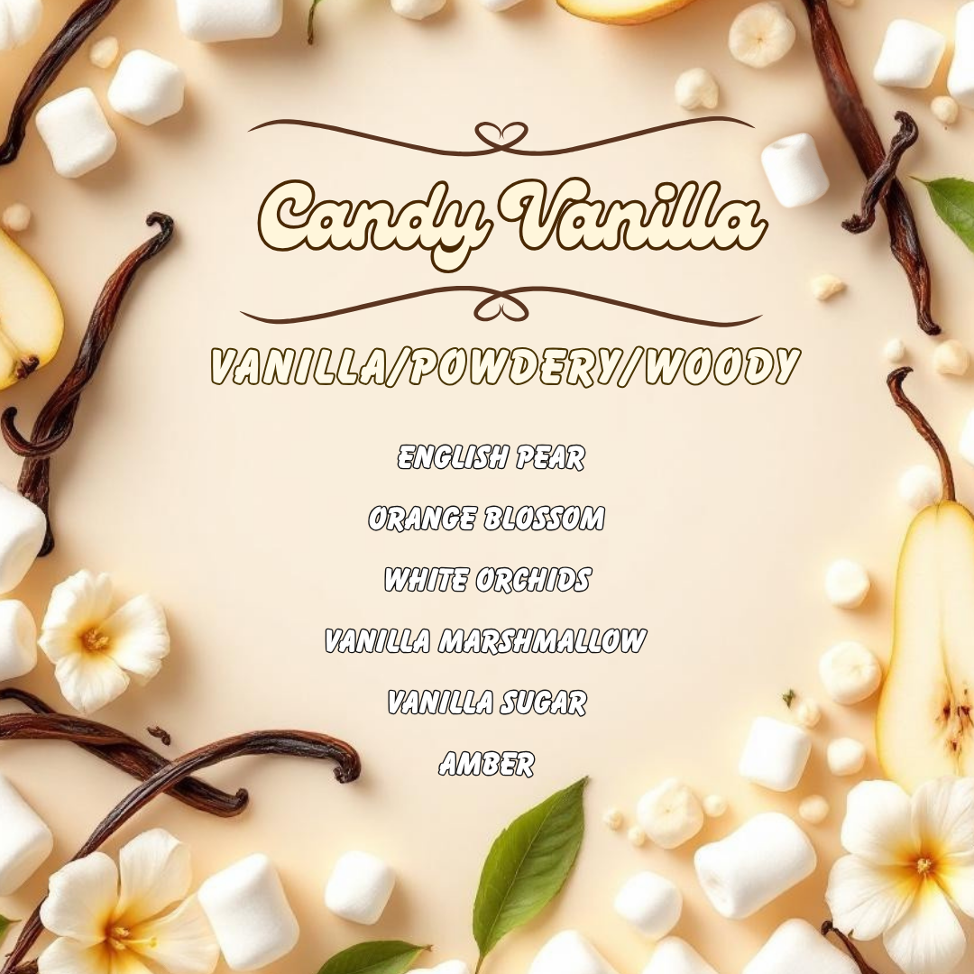 Candy Collection Discovery Set